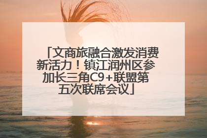 文商旅融合激发消费新活力！镇江润州区参加长三角C9+联盟第五次联席会议
